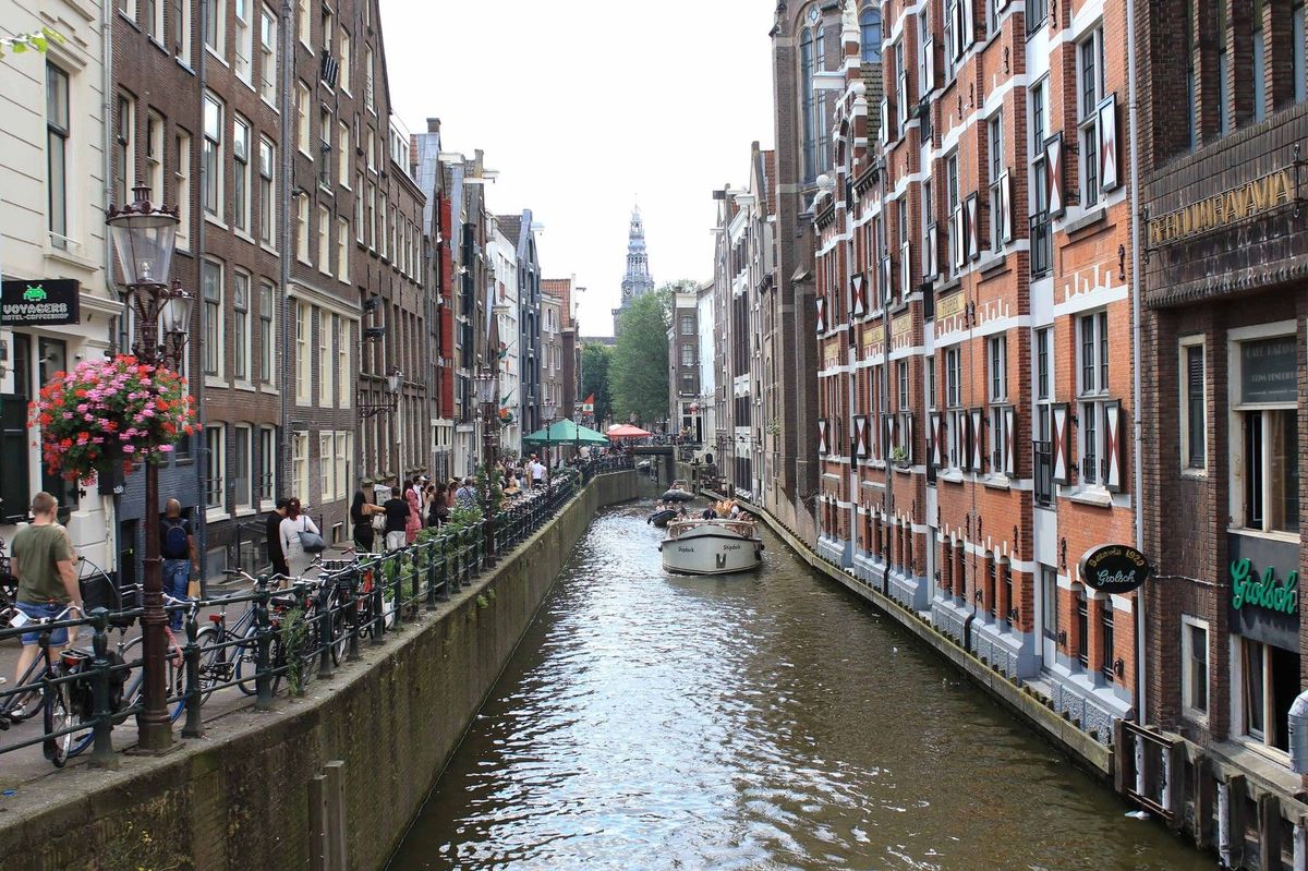 Amsterdam instaluje na stěny vodních kanálů záchranné schůdky pro kočky