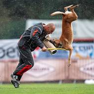 Pes se v obrovské rychlosti bez zábran zakusuje do rukávu.