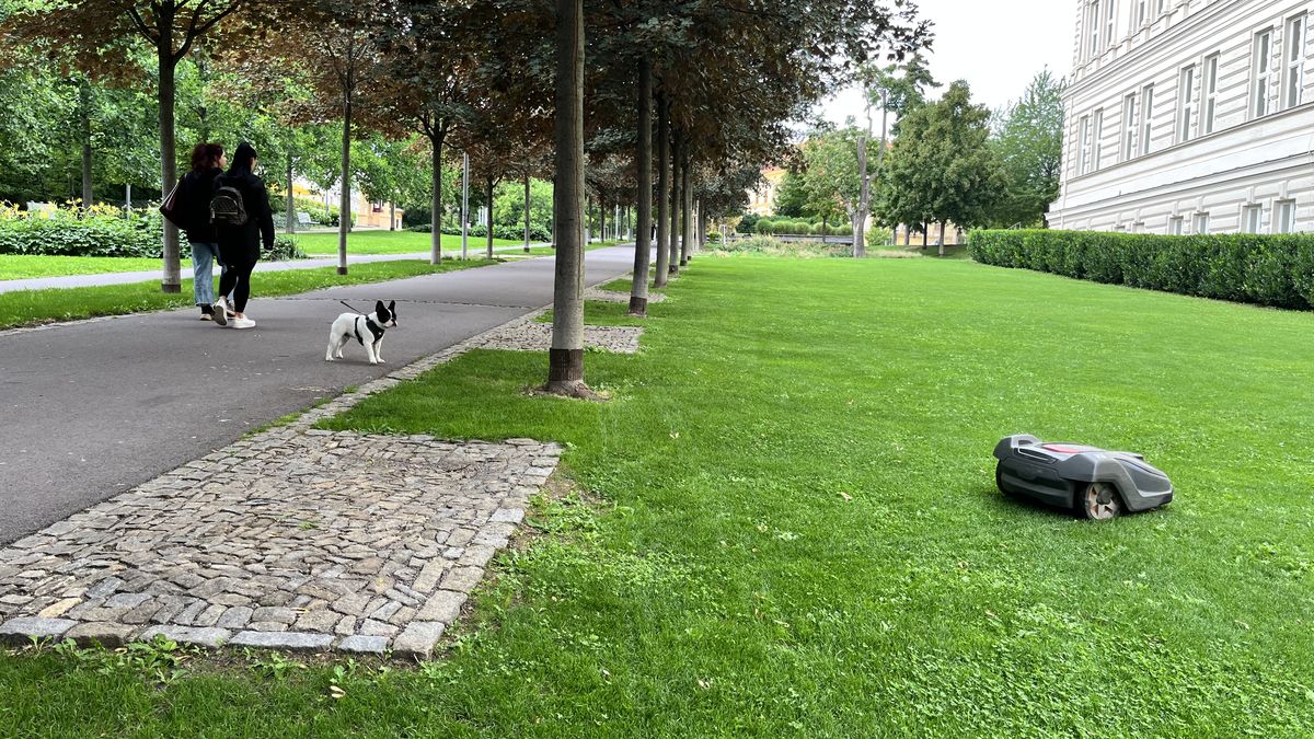 „Házejí nás do jednoho pytle, ale žijí tady i slušní lidé,“ říká Rom z problémové části Znojma