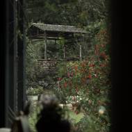 Pohled z okna do zahrady