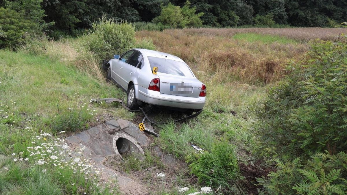 Za to může sršeň, tvrdil šofér havarovaného auta. Policisté zjistili, že řídil pod vlivem drog