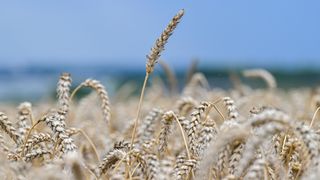 Silné bouřky tentokrát udeří v Čechách, varují meteorologové