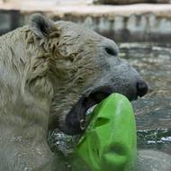 Na kajku se objevují první šrámy.