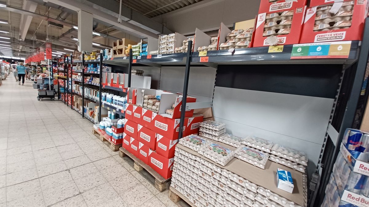 Vejce v akcích jsou nyní nejlevnější, přesto výrazně dražší než loni