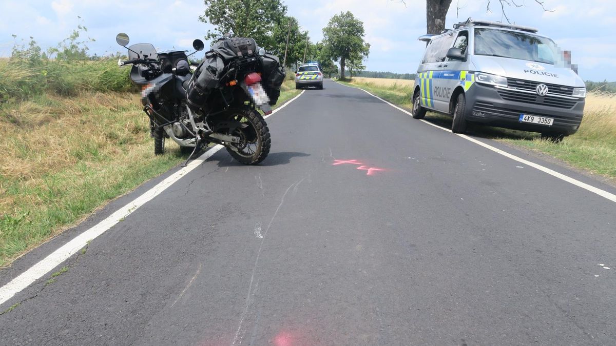 Pes na Karlovarsku vběhl motorkáři pod kola, ten havaroval