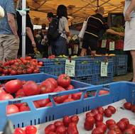 Výběr čerstvé zeleniny na náplavce během sobotního dopoledne