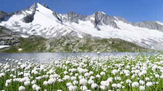 V rakouských Alpách napadlo až 80 centimetrů sněhu, záchranáři varují turisty před lavinami