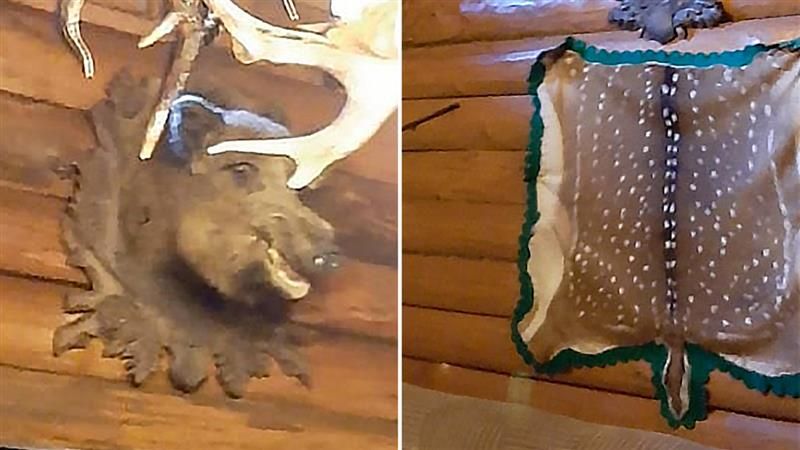 Dvojčata na Opavsku vykrádala chaty a firmy