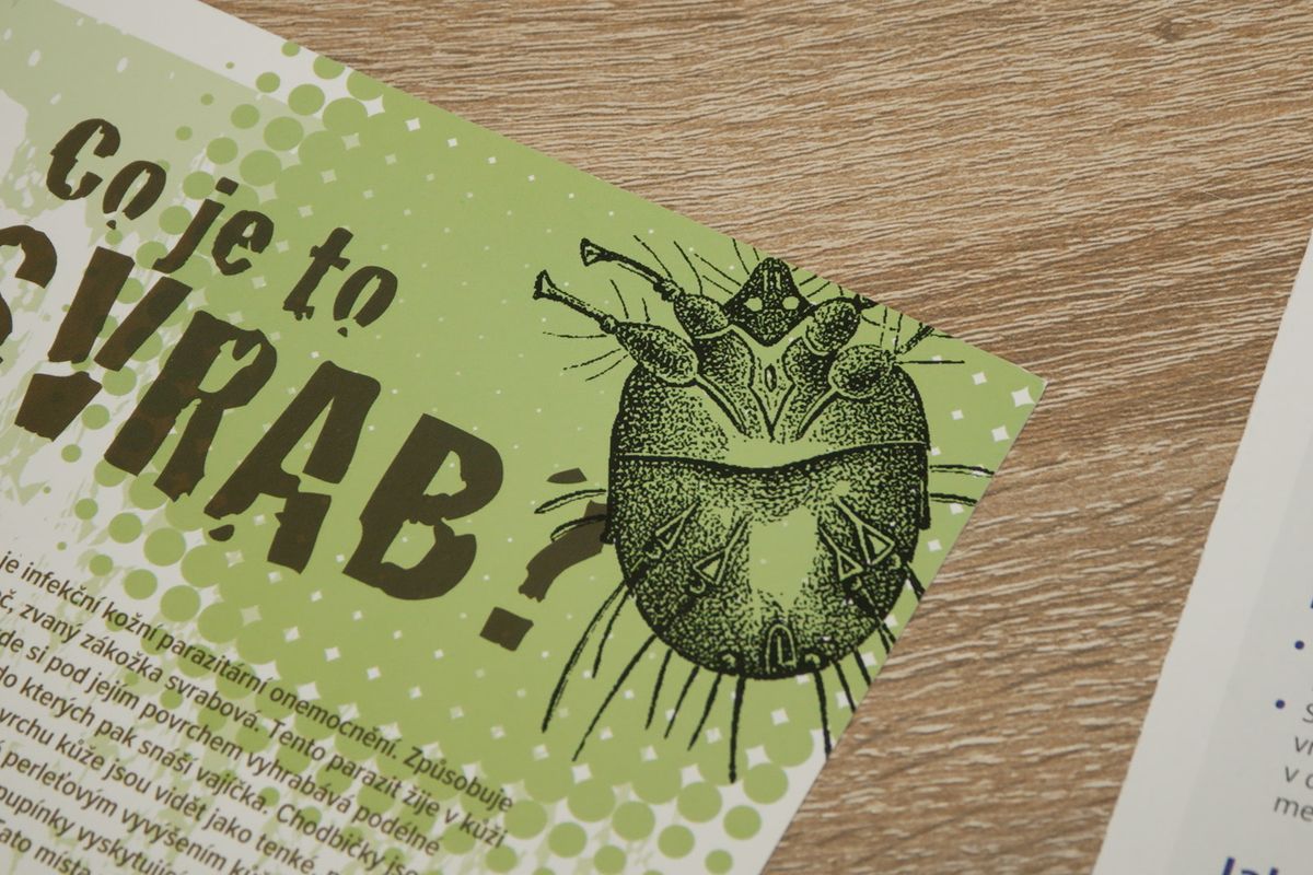 Ve škole na Klatovsku se mezi dětmi objevil svrab