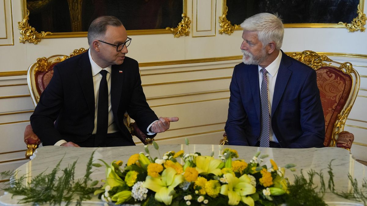 Máme stejné zkušenosti i zájmy, shodli se Pavel s Dudou