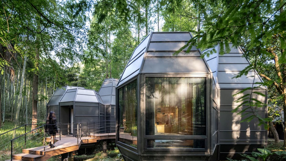 Uprostřed lesa a bez kácení. Architekti navrhli hotel, který nenápadně vklouzl mezi stromy