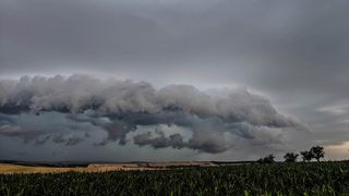 Popadané stromy, stržené střechy, domácnosti bez elektřiny. Vysočinou a Moravou se prohnaly bouřky