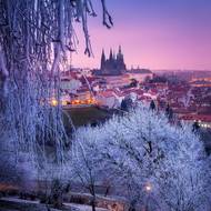 Snímek z letošního ledna v ranních hodinách. Praha sice vypadala jako pokrytá sněhem, nicméně šlo jen o námrazu. „Zalezla jsem mezi stromy a chtěla jsem to skrze jeden z nich zarámovat,“ popisuje Valerie. Foceno ze stativu na zhruba 1/30 s.