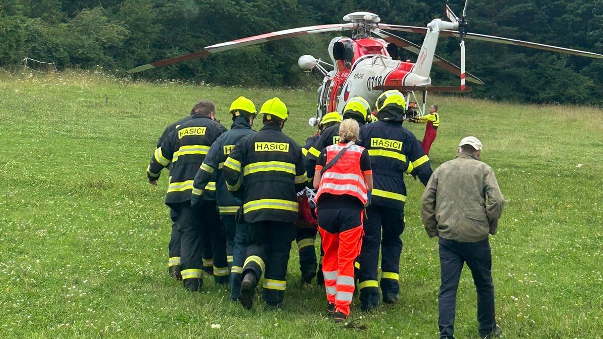Kůň na Klatovsku kopl ženu do břicha, skončila v nemocnici