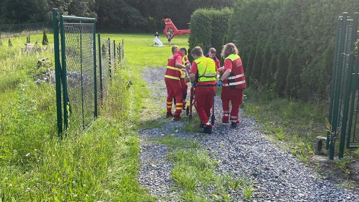 Policie v Karviné zastřelila agresivního psa. Pokousal dva muže, jeden je v kritickém stavu