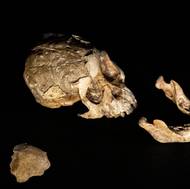 Kvůli očekávanému velkému zájmu veřejnosti muzeum zavádí vstupenky na konkrétní čas a prodloužilo otevírací dobu.