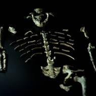 Oba exponáty jsou nejcennějšími předměty národního kulturního dědictví Etiopie.