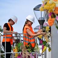 Zdobení květinami darkovského mostu