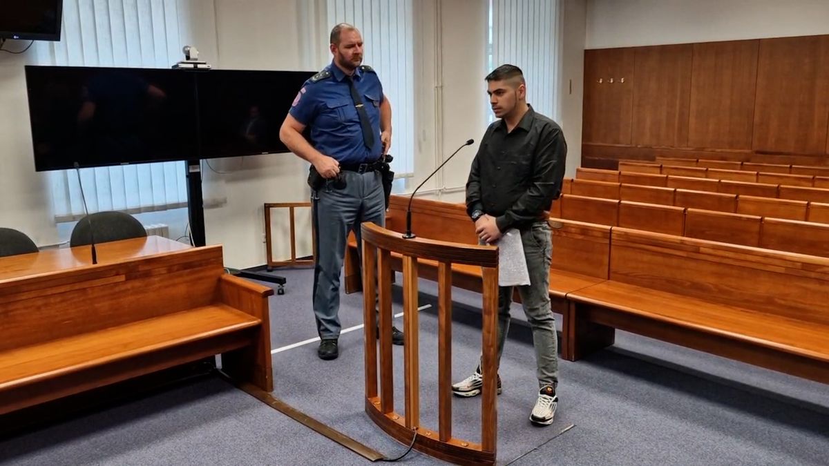 Vrchní soud zpřísnil o rok a půl trest Slovákovi, který v Brně znásilnil třináctiletou mentálně retardovanou dívku