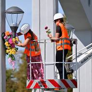 Karvinská floristka při zdobení Mostu Sokolských hrdinů (darkovského mostu)