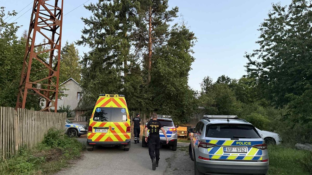 Lev ve Zvoli se ven z výběhu podhrabal. Když uviděl policisty, rozeběhl se proti nim
