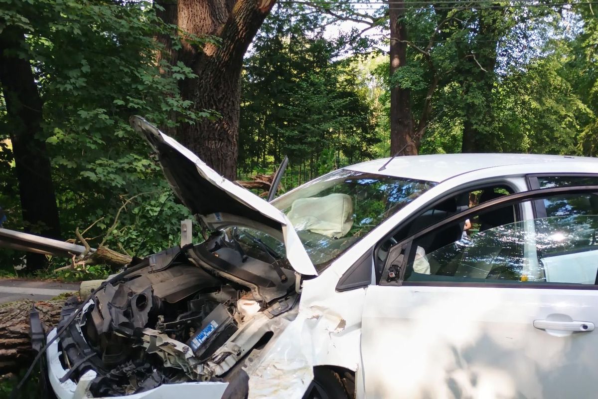Na jedoucí auto spadl na Jindřichohradecku strom. Mezi zraněnými jsou dvě děti