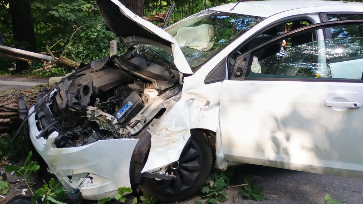 Na jedoucí auto spadl na Jindřichohradecku strom. Mezi zraněnými jsou dvě děti