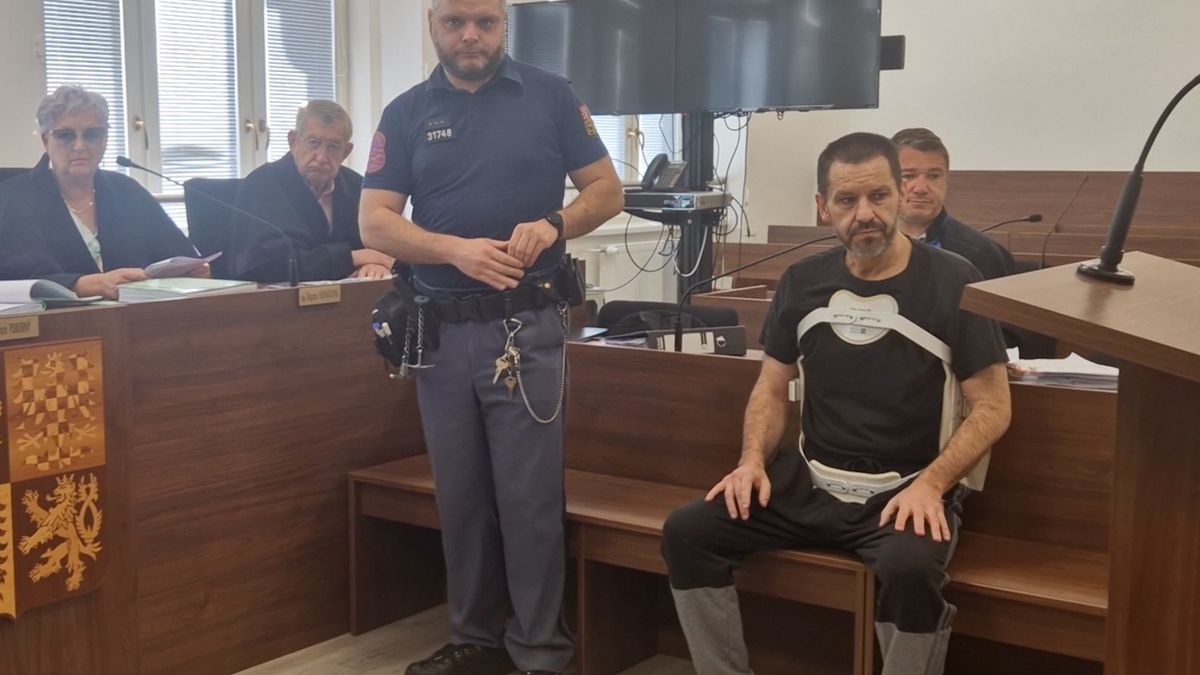 Letadlem havaroval na Novojičínsku se 74 kilogramy drog na palubě. Soudu tvrdí, že o nich nevěděl