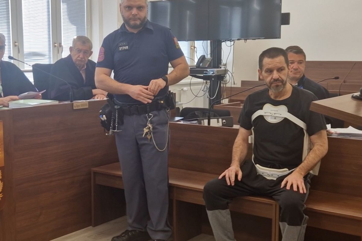 Letadlem havaroval na Novojičínsku se 74 kilogramy drog na palubě. Soudu tvrdí, že o nich nevěděl