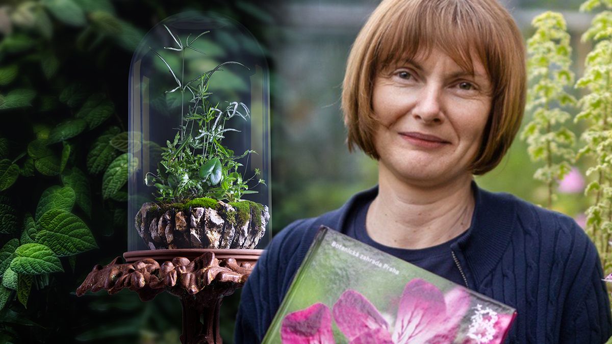 Fascinující příběhy rostlin prozrazuje kurátorka Alena Nováková