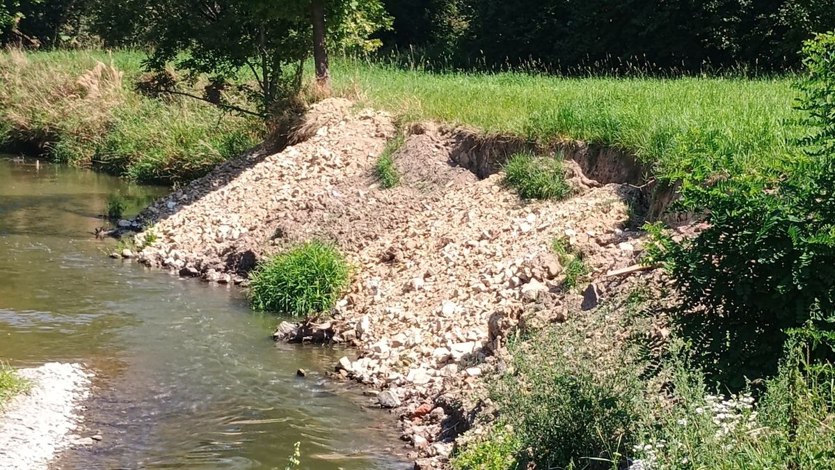 Neznámý pachatel v Poodří zasypal hnízda ohrožených ledňáčků stavebním odpadem