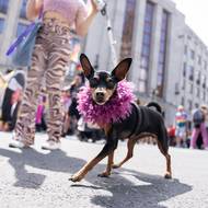 Tam účastníky čeká festivalový zábavní program i koncerty.