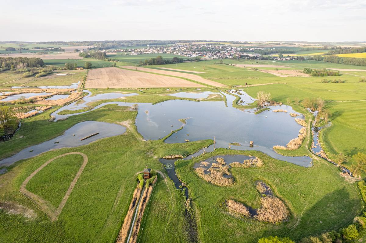 Pohled z výšky na Kozmické ptačí louky