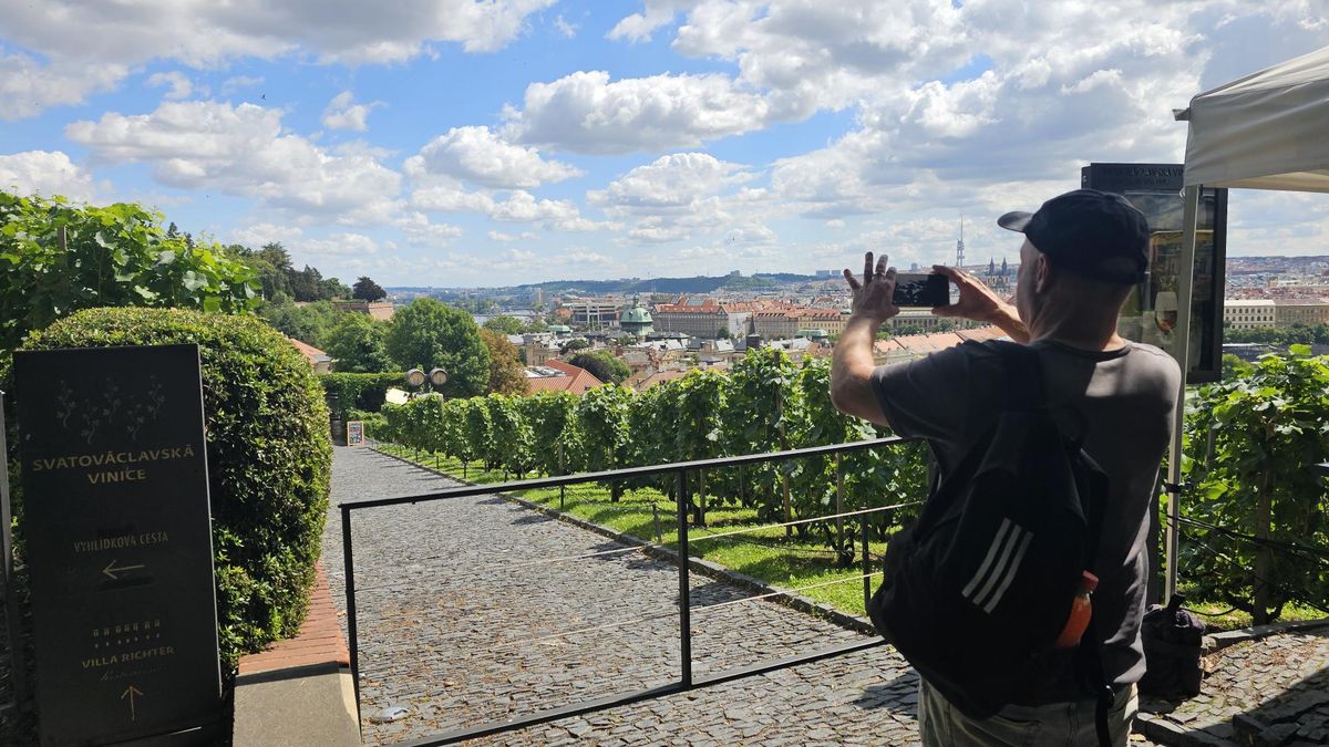 Víno v Praze dozrává proti loňsku výborně, teplota v Troji je jako na Pálavě