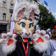 Účastníci mají duhové vlajky i líčení, někteří mají na sobě například květinové věnce, barevné čelenky či masky.