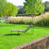 Husté porosty okrasných trav mohou na zahradě nahradit živé ploty.