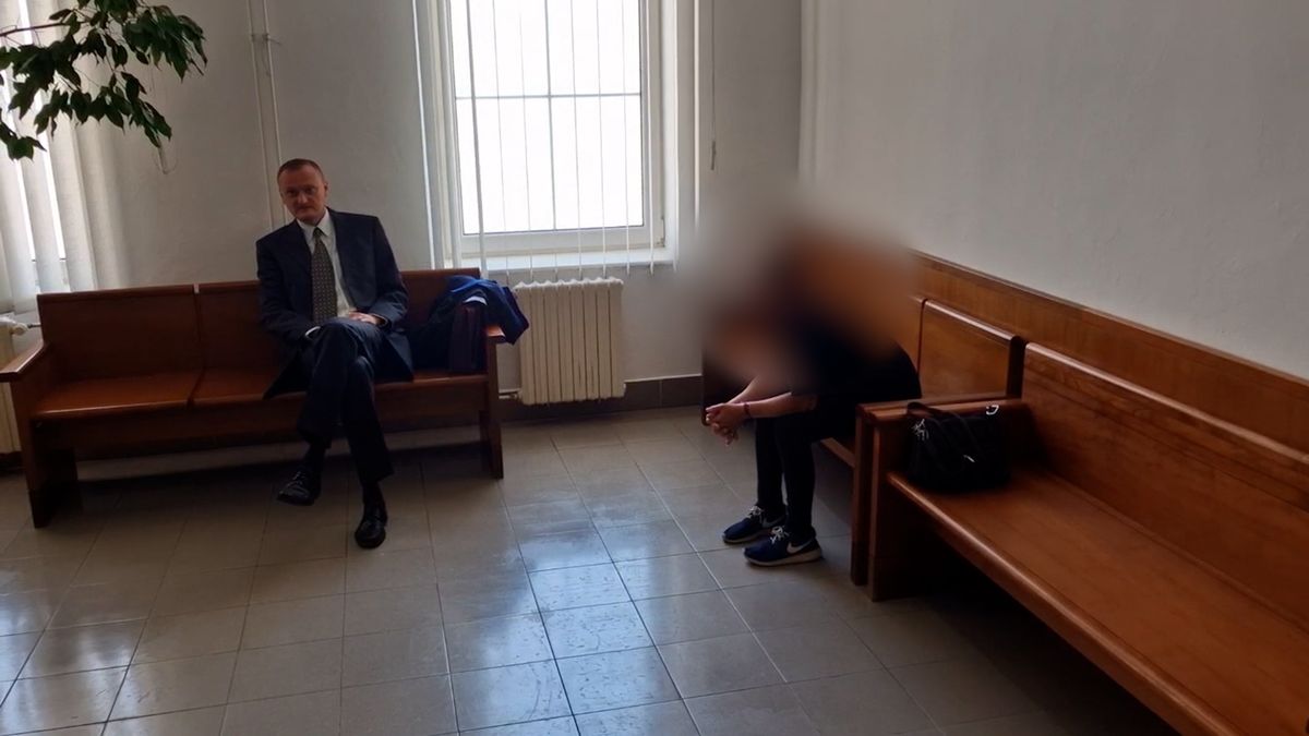Vrchní soud zrušil sedmiletý trest ženě, co měla znásilnit její jedenáctiletou dceru. Věc vrátil krajskému soudu