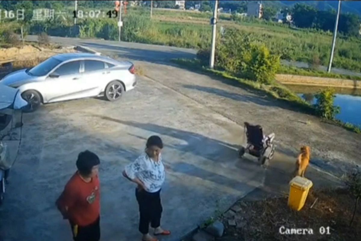 Zapovídaná seniorka v Číně neuhlídala vnučku na vozíku, obě skončily ve vodě