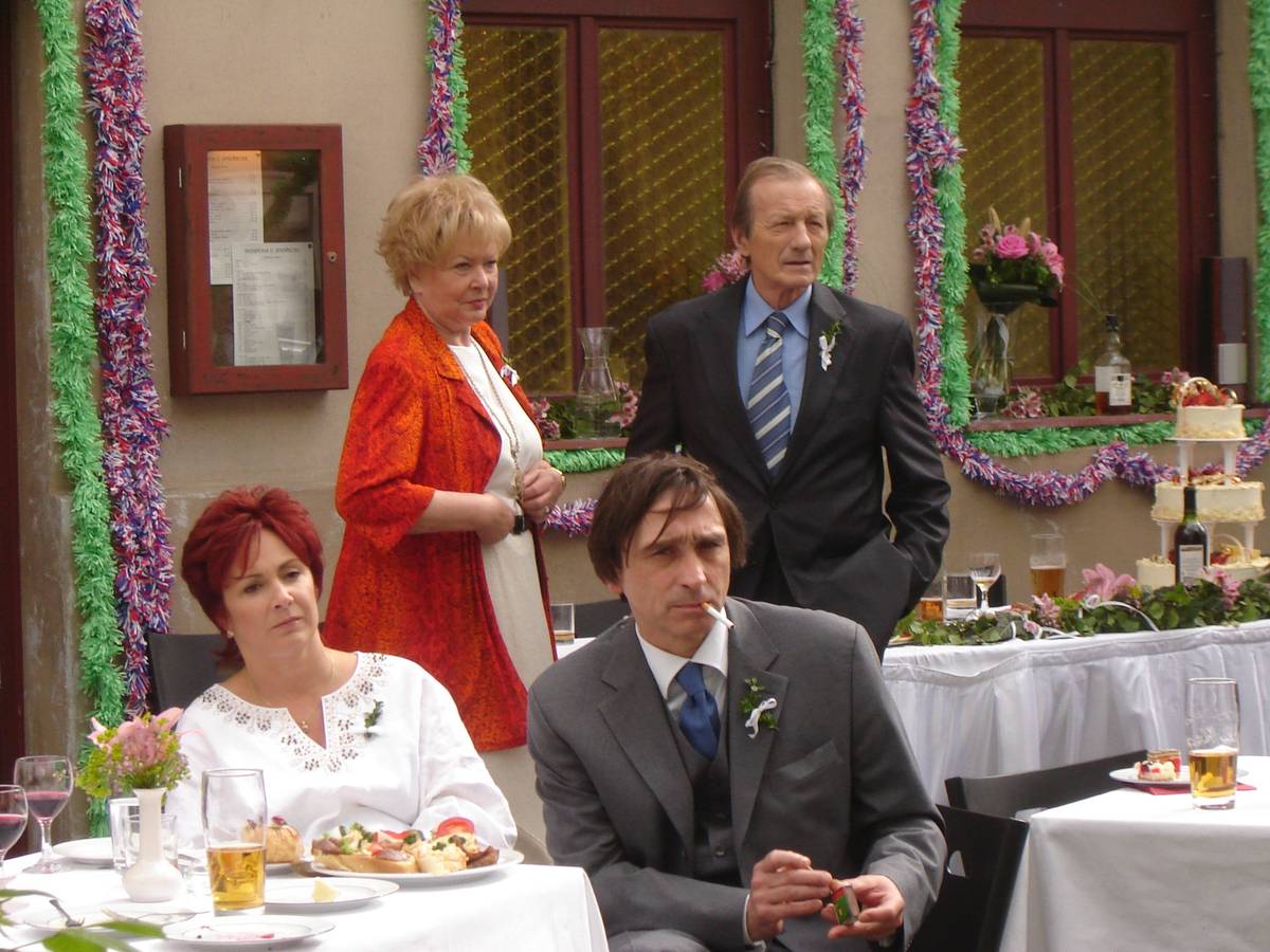 Seriál Ulice se začal vysílat v roce 2005 a k jeho stěžejním protagonistům patřila rodina Farských, kterou tvořili Oldřich (Ondřej Pavelka, sedící u stolu) a jeho žena Jitka (Ilona Svobodová). První tři roky v seriálu také hráli manželé Královi (Alena Vránová a Radoslav Brzobohatý).