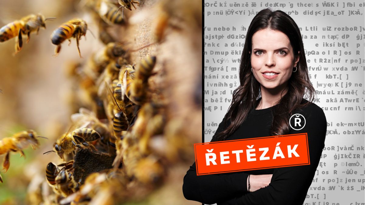 Včelí jed zatím není navzdory fámám lékem na rakovinu. Do úlu byste padali zbytečně