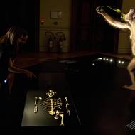 V Národním muzeu budou exempláře vystaveny téměř dva měsíce.