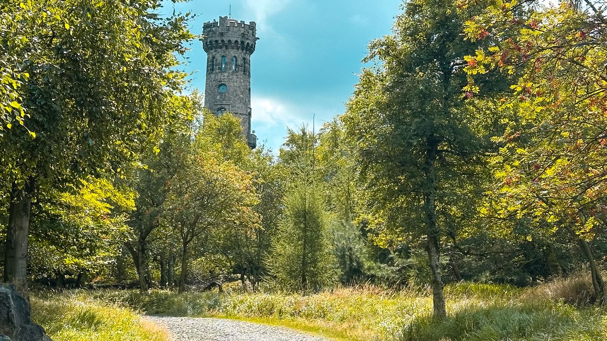 Nejelegantnější česká rozhledna má tvar šachové figurky. Jejím klíčníkem může být každý