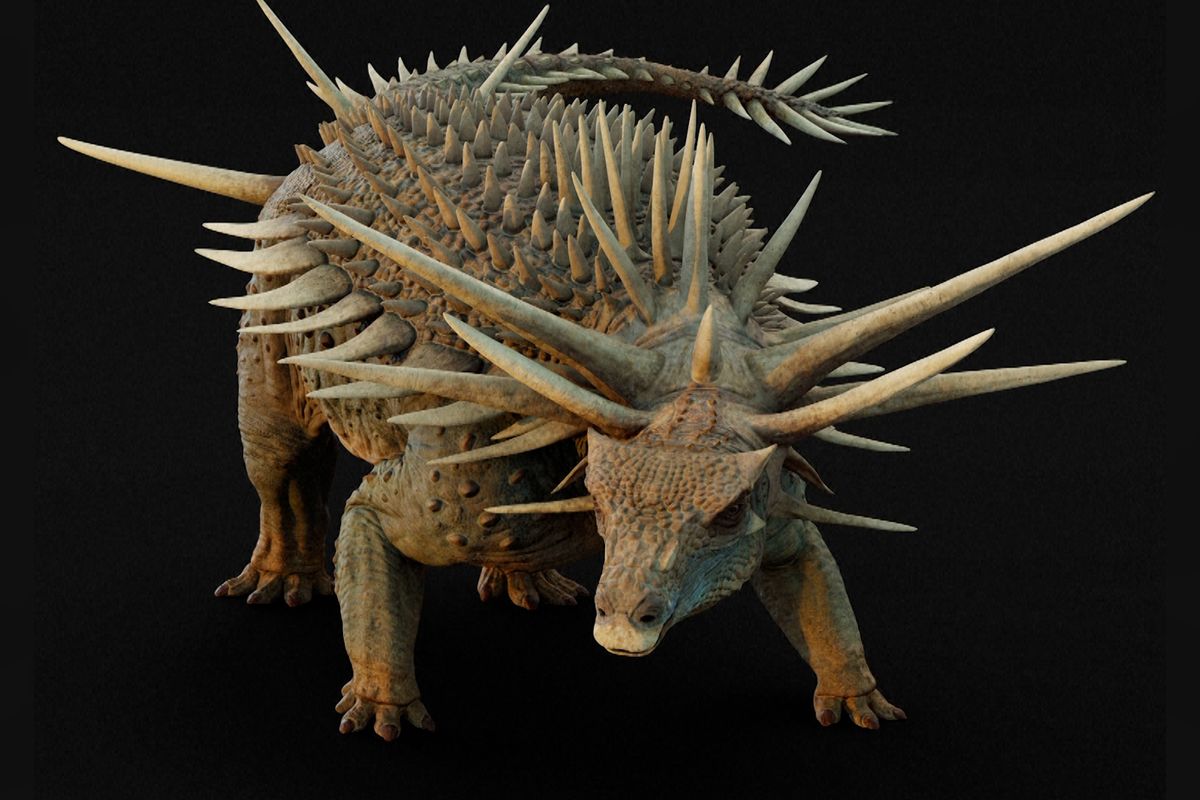 Ostnatý dinosaurus z Maroka i dlouhokrký býložravec z Argentiny. Vědci hlásí nové úžasné paleontologické nálezy