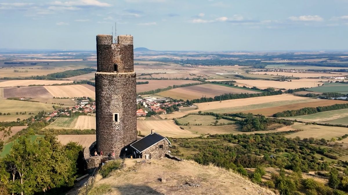 Na české zřícenině prší mravenci