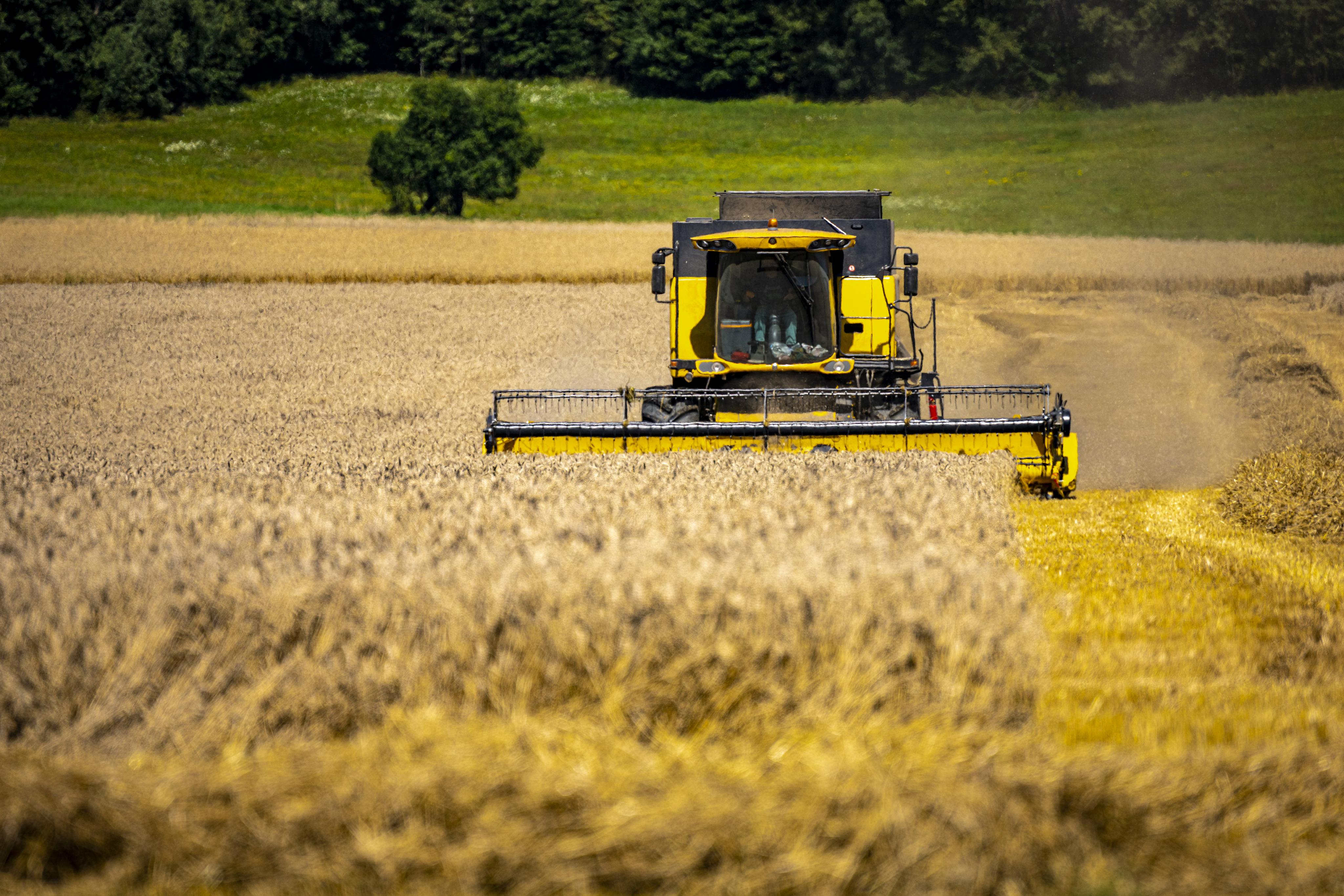 Rekordní zisk, a pak propad. Zemědělce čeká po skvělém roce těžké pokračování