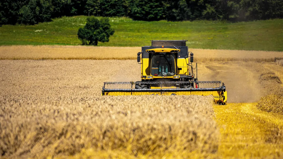 Rekordní zisk, a pak propad. Zemědělce čeká po skvělém roce těžké pokračování