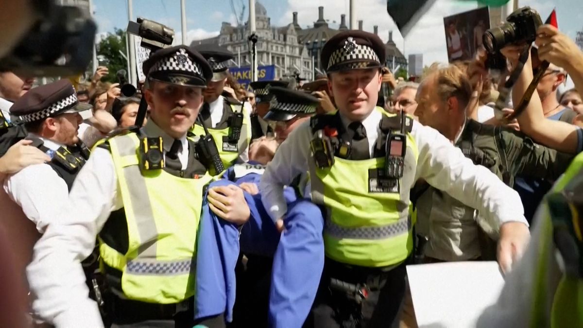 Londýnská policie pozatýkala při protestech přes 200 zastánců propalestinské skupiny