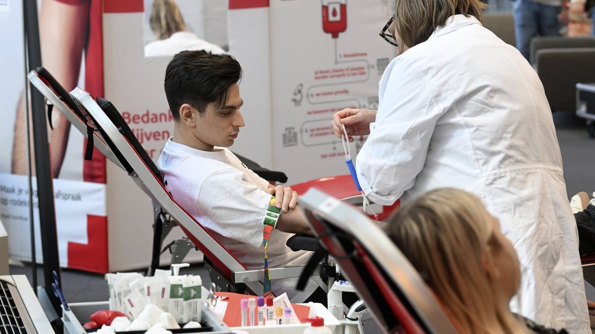 Ve Vlámsku odměňují dárce krevní plazmy neobvyklým způsobem