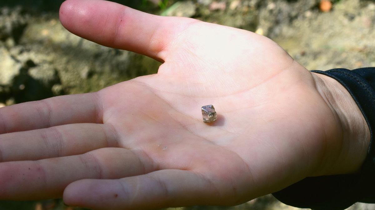 Američanka si chtěla najít diamant na snubní prsten v přírodě. Trvalo jí to dva roky