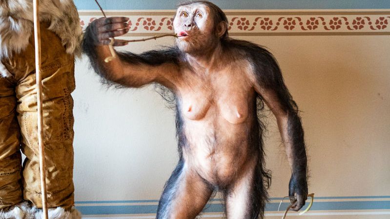 Přílet Lucy patřil k nejostřeji sledovaným transportům v historii, říká ředitel Národního muzea Michal Lukeš